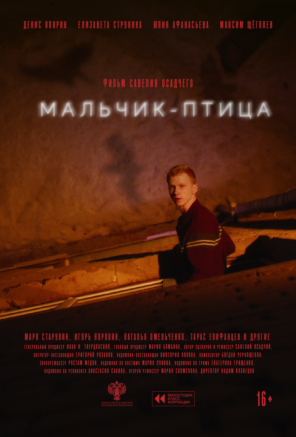 Мальчик-птица (2025) - смотреть онлайн